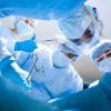 Трансплантация под надзором