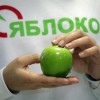 «Яблоко» закончило сбор подписей в Рязанской области
