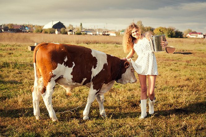 Что открыть в деревне. Девушка корова. Девушка и корова в деревне. Девочка корова. Фотосессия с коровами в деревне.
