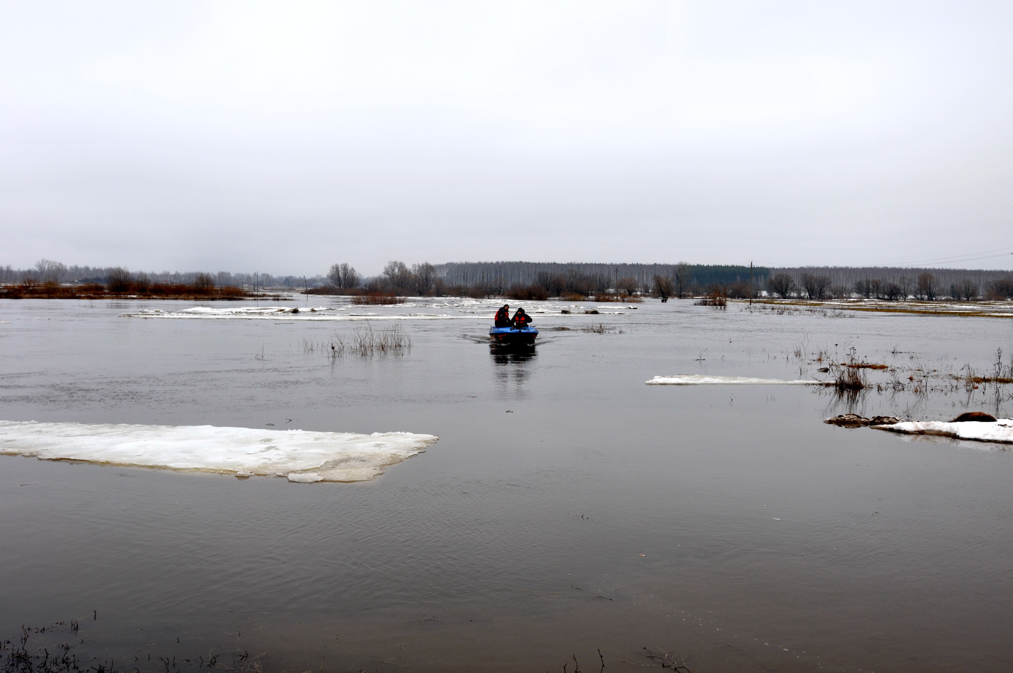 Вода сильно поднялась. Рязань разлив 2021. Разлив Оки в Рязани. Разлив реки Оки в Рязанской области. Ока река Рязань разлив.